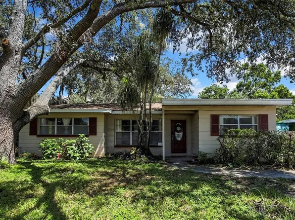217 W Bougainvillea Ave, Tampa, FL 33612