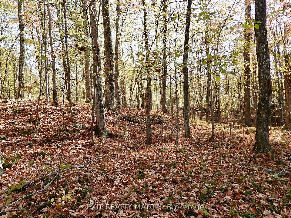 1st image of LOT 1 Woodland Park Dr