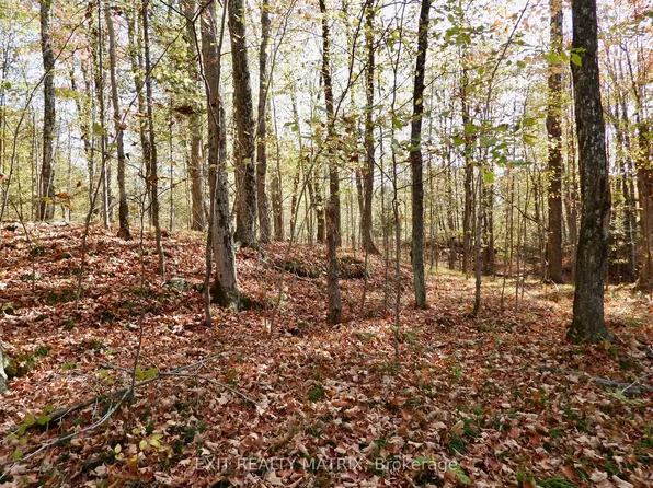 LOT 1 Woodland Park Dr, Central Frontenac, ON K0H 1B0