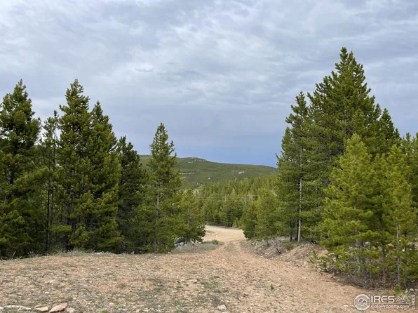 2849 Ottawa Way, Red Feather Lakes, CO 80545