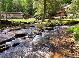 13111 Big Creek Rd, Cherry Log, GA 30522