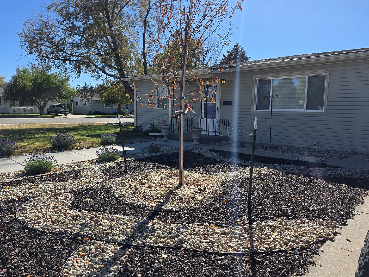 2 bed, 1488 sqft, $2,800 — Photo 2