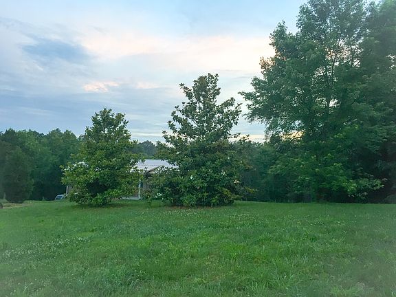 Back property line view