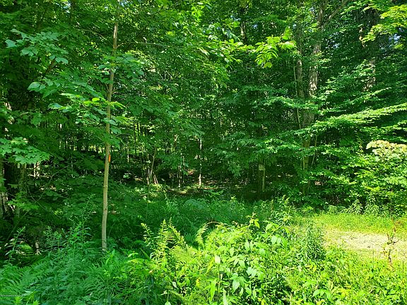 5th image of Rock Lake Dr