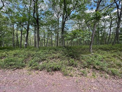 144 Mountain Top Rd, Lackawaxen, PA, 18435