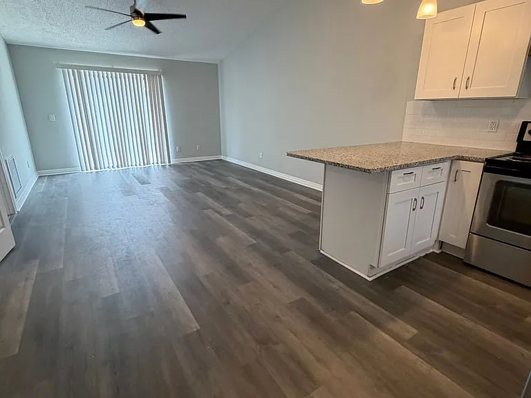 The Flats at Tarpon Springs — Photo 5