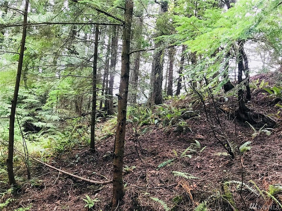 2nd image of 17 Amberland Way
