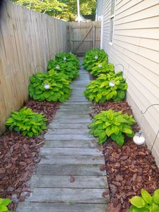 5006 Johnson Ave, Portsmouth, VA, 23701