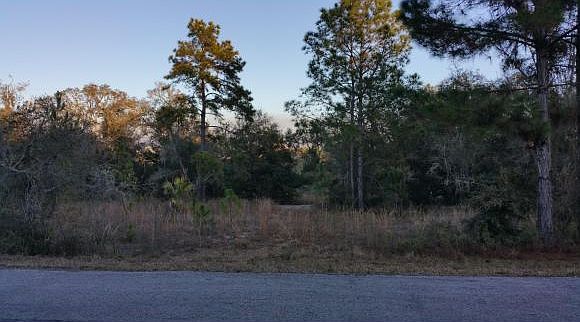 1st image of 8489 N Odyssey Dr