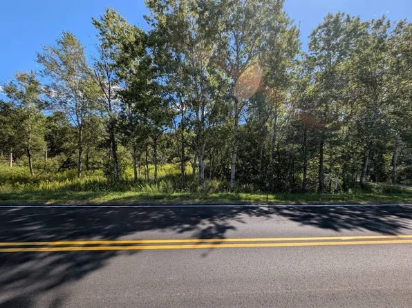 L1912 South St, Windham, NY 12496