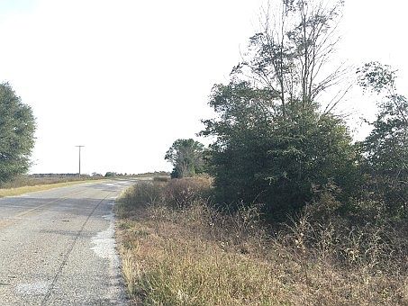 4th image of 264 E County Road 16