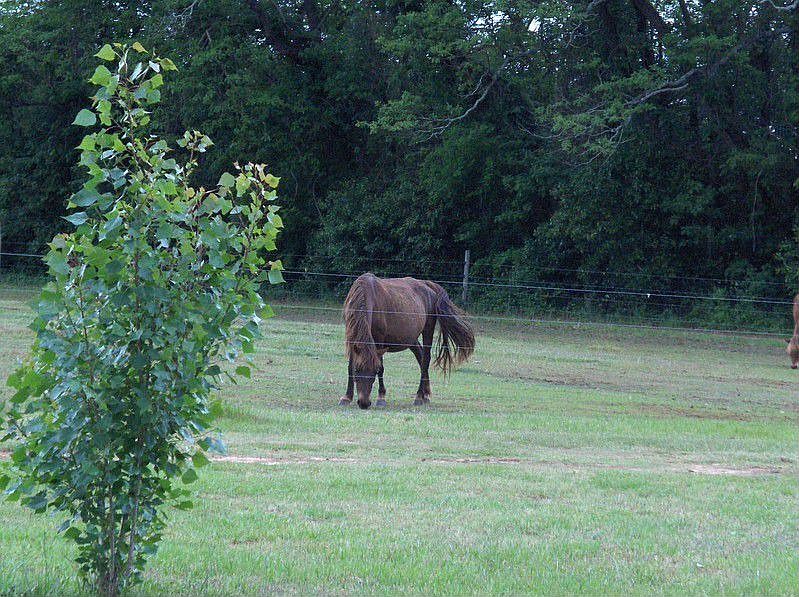 1st image of 4582 County Road 83