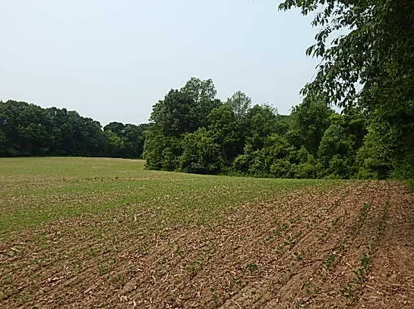 17380 28 Mile Rd, Albion, MI 49224