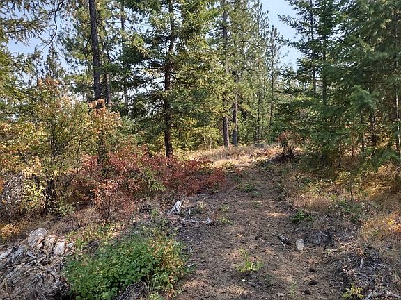 3rd image of Xx Lodgepole Ln