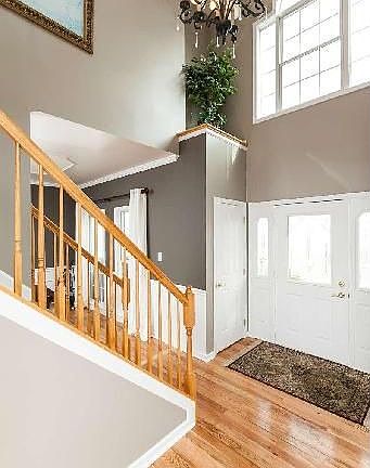 4th image of 730 Hickory Limb Cir