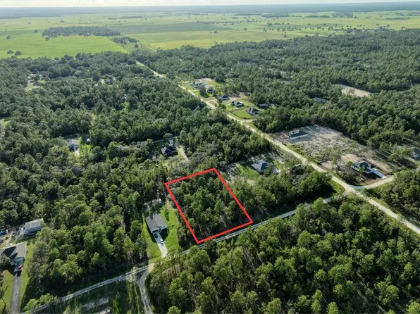 SW 135th Ave Lot 10, Dunnellon, FL 34432
