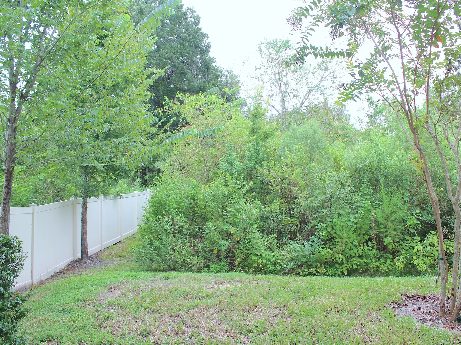 3 bed, 2.5 bath, 1600 sqft, $2,945 — Photo 2