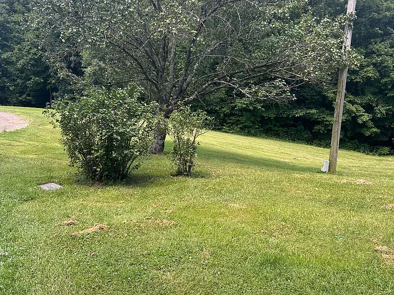 164 Beech Ct — Photo 5