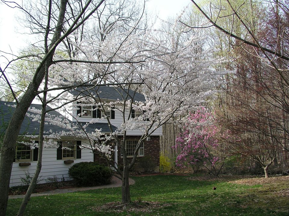Spring time delight
