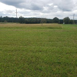 163 Lanier Rd, Johnston, SC, 29832