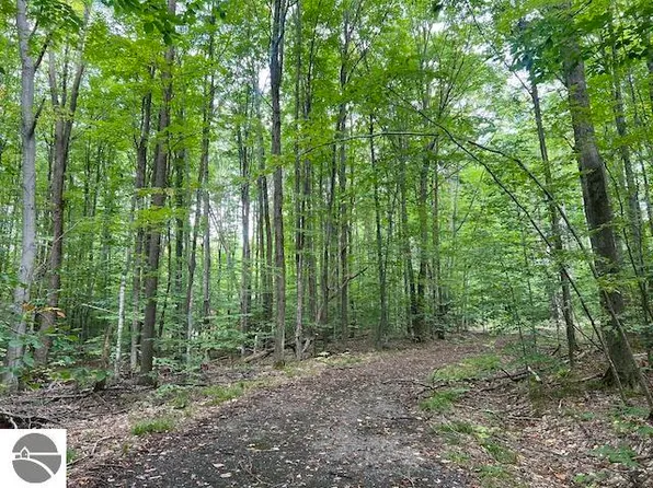 LOT 44 Hauschen Ln, Bellaire, MI 49615