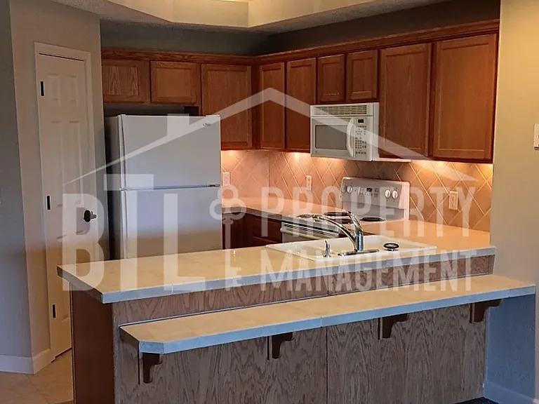 250 Lakewood Dr #6203 — Photo 12