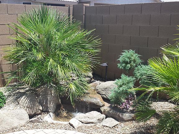 Water Feature
