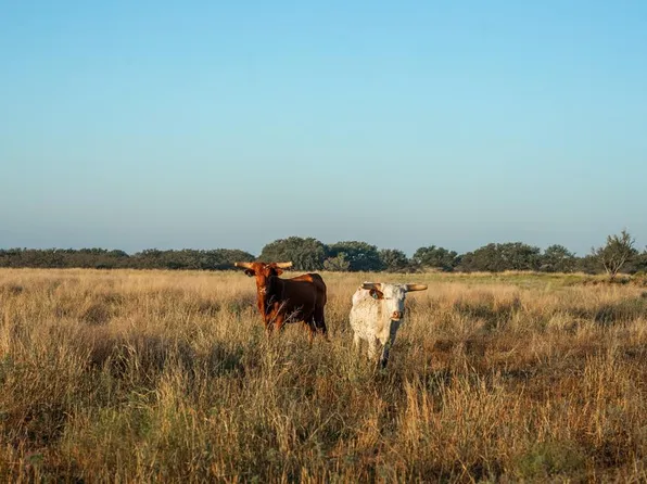 2 County Road 208, Voca, TX 76887