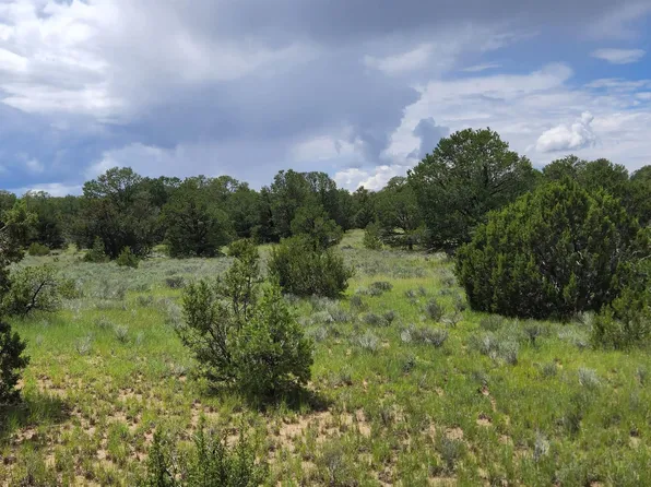 Shadow Canyon Ridge Rd, Fence Lake, NM 87315