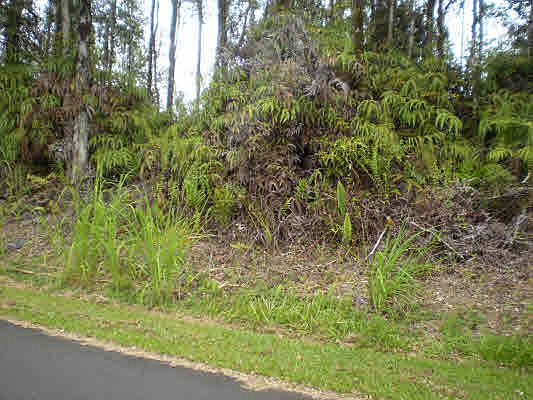2nd image of Makamae St Lot 13