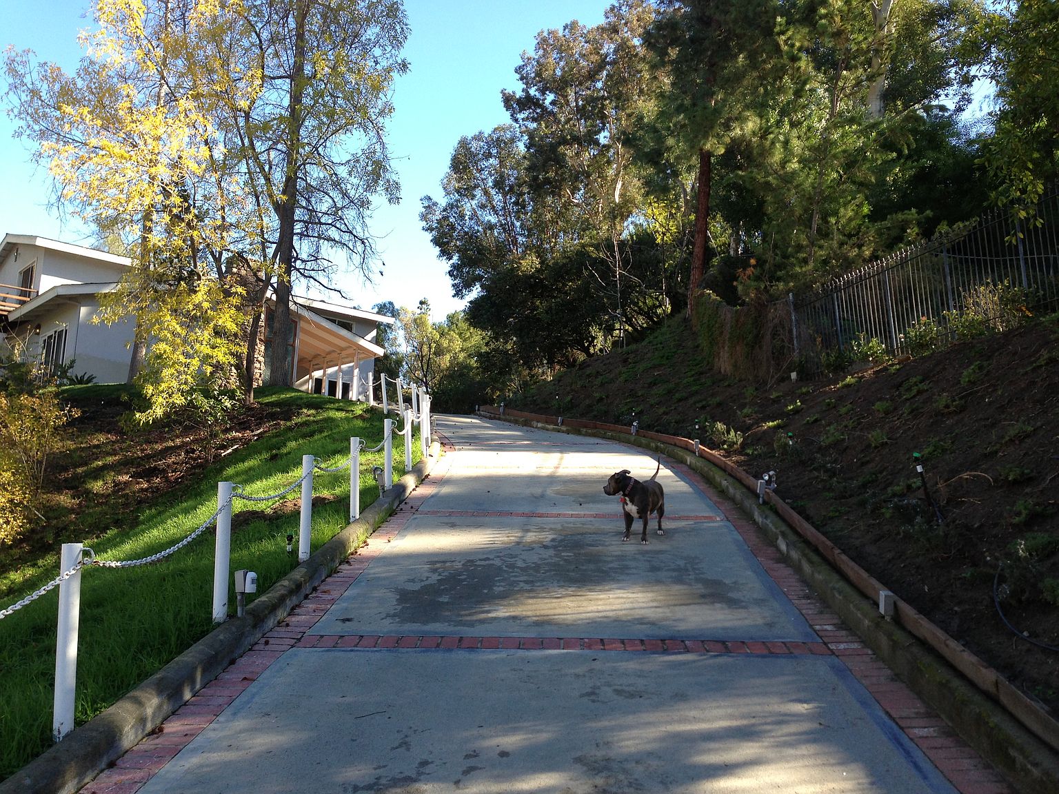 4905 Calvin Ave, Tarzana, CA 91356 Zillow