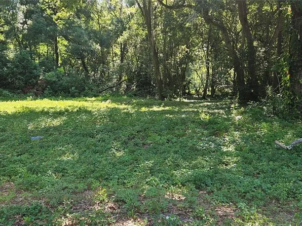 NW 19th Ave Lot 21, Ocala, FL 34475