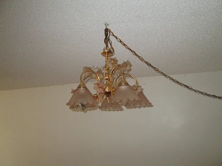 205 Palmetto Ave #102 — Photo 29
