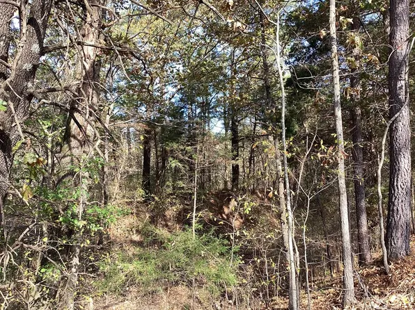 0 Lumber Rd, Henry, TN 38231