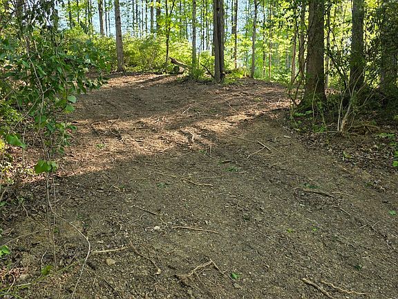 4th image of 11965 Stone Mill Rd