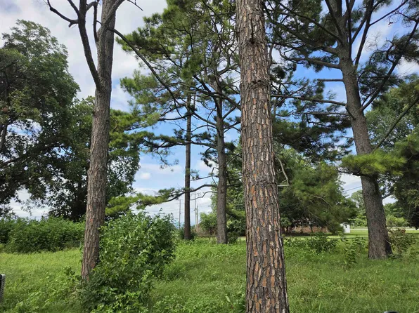 3203 Opal St, Tuckerman, AR 72473