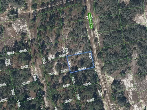 218 Island Mist Dr Lot 10, Lake Placid, FL 33852