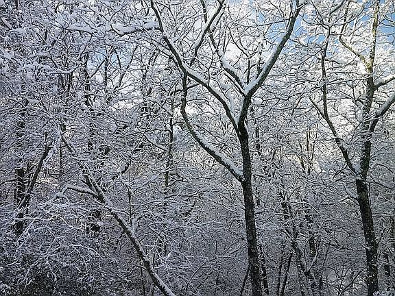 Winter view is spectacular 