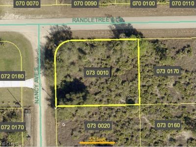 231 Nancy Ave S, Lehigh Acres, FL, 33974
