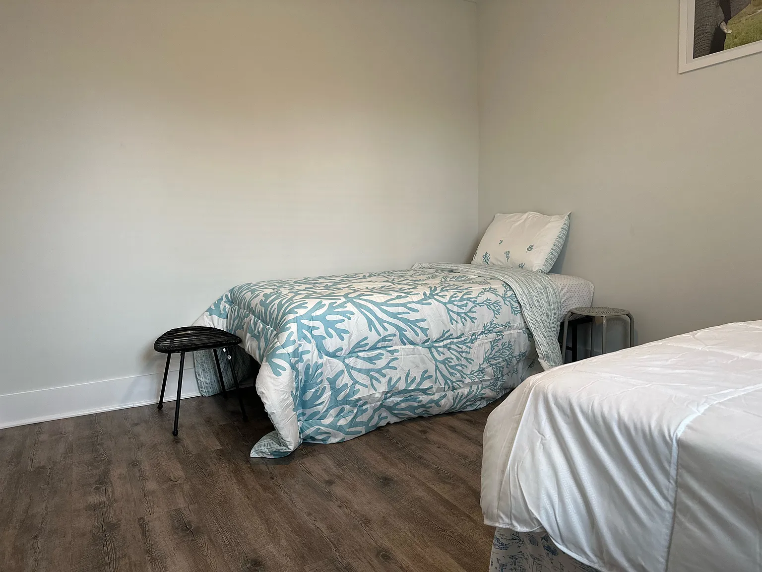 2 bed, 800 sqft, $1,300 — Photo 4
