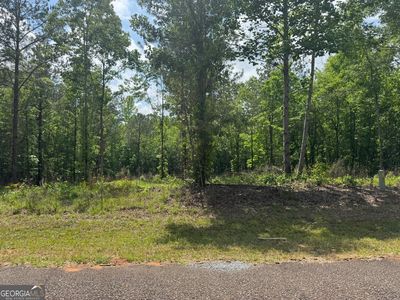 0 County Road 865, Roanoke, AL, 36274