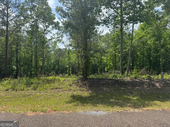0 County Road 865, Roanoke, AL 36274