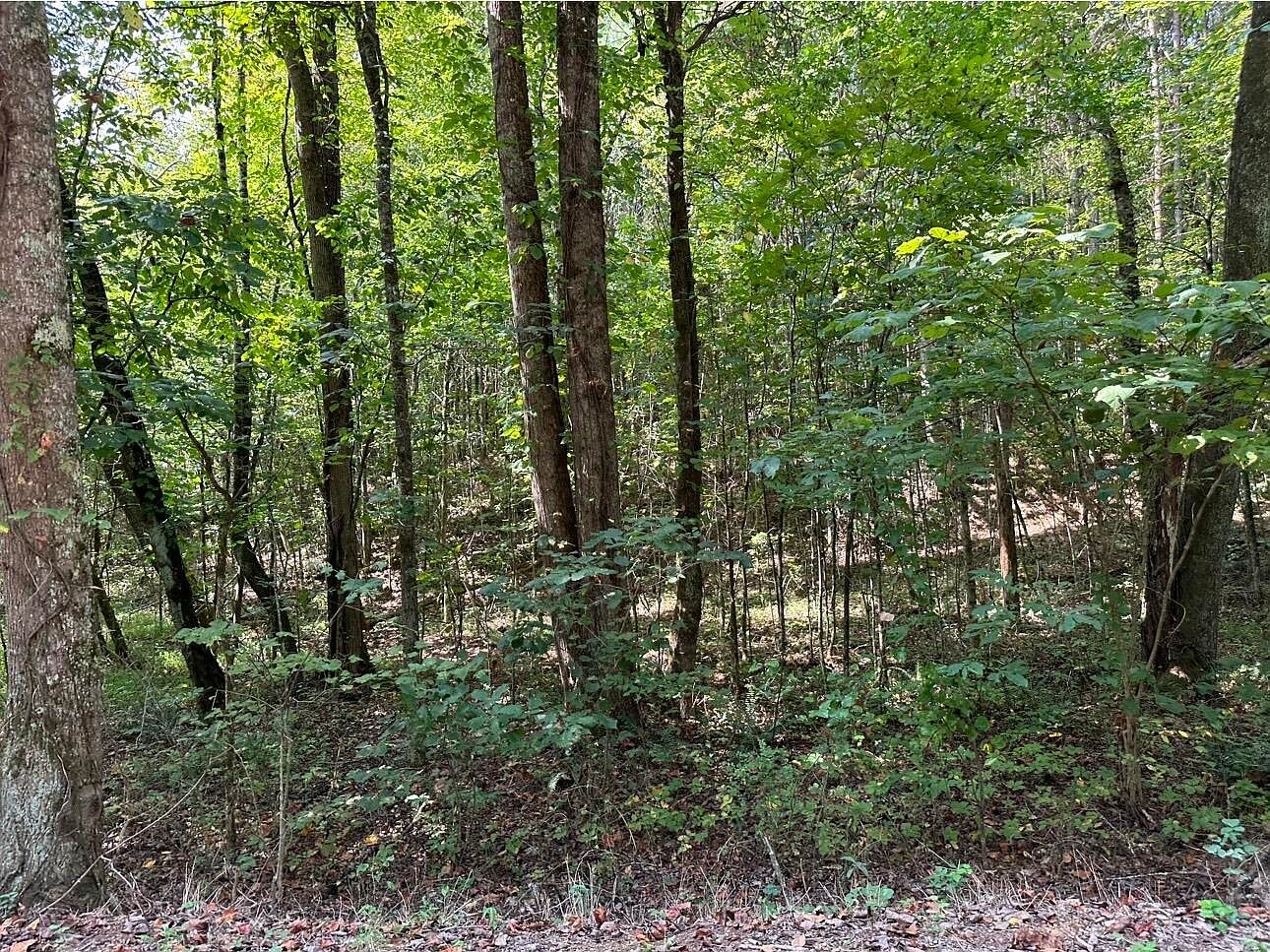 0 County Road 956, Calhoun, TN 37309 | MLS #20237621 | Zillow