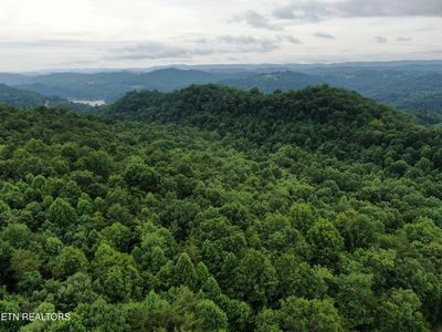 171 Bluff View Rd, New Tazewell, TN, 37825
