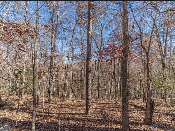 4th image of 6 Arborwood Dr