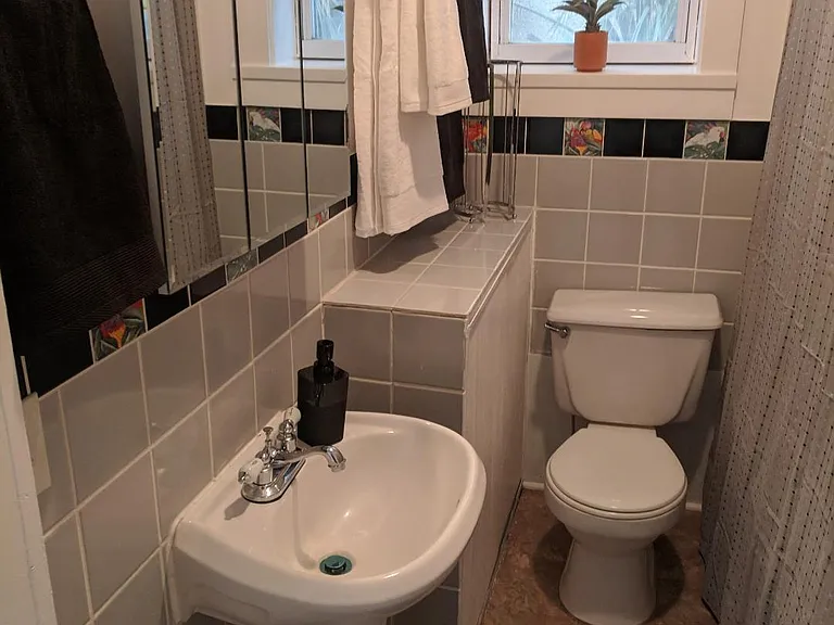 Shower/Tub combo