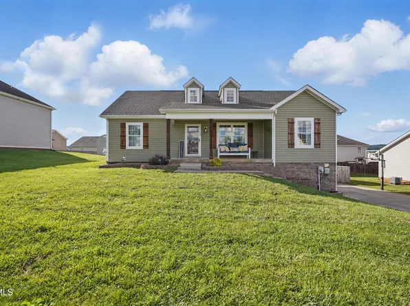 202 Yellow Sorrell Dr, Bluff City, TN 37618