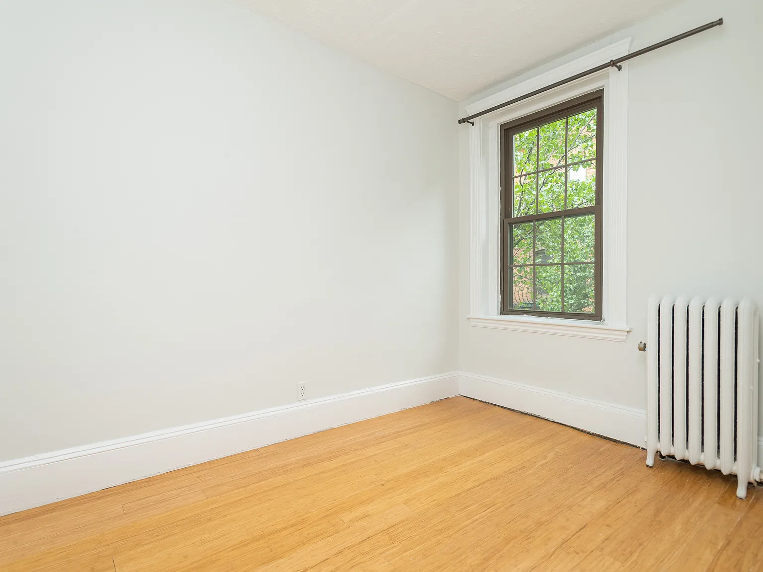 1 bed, 550 sqft, $3,100 — Photo 3