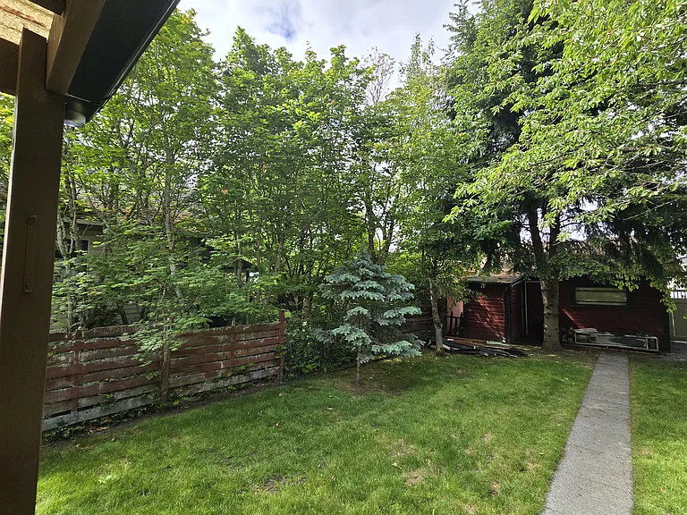 Back Garden
