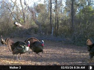 123 229th Dr, Live Oak, FL 32060